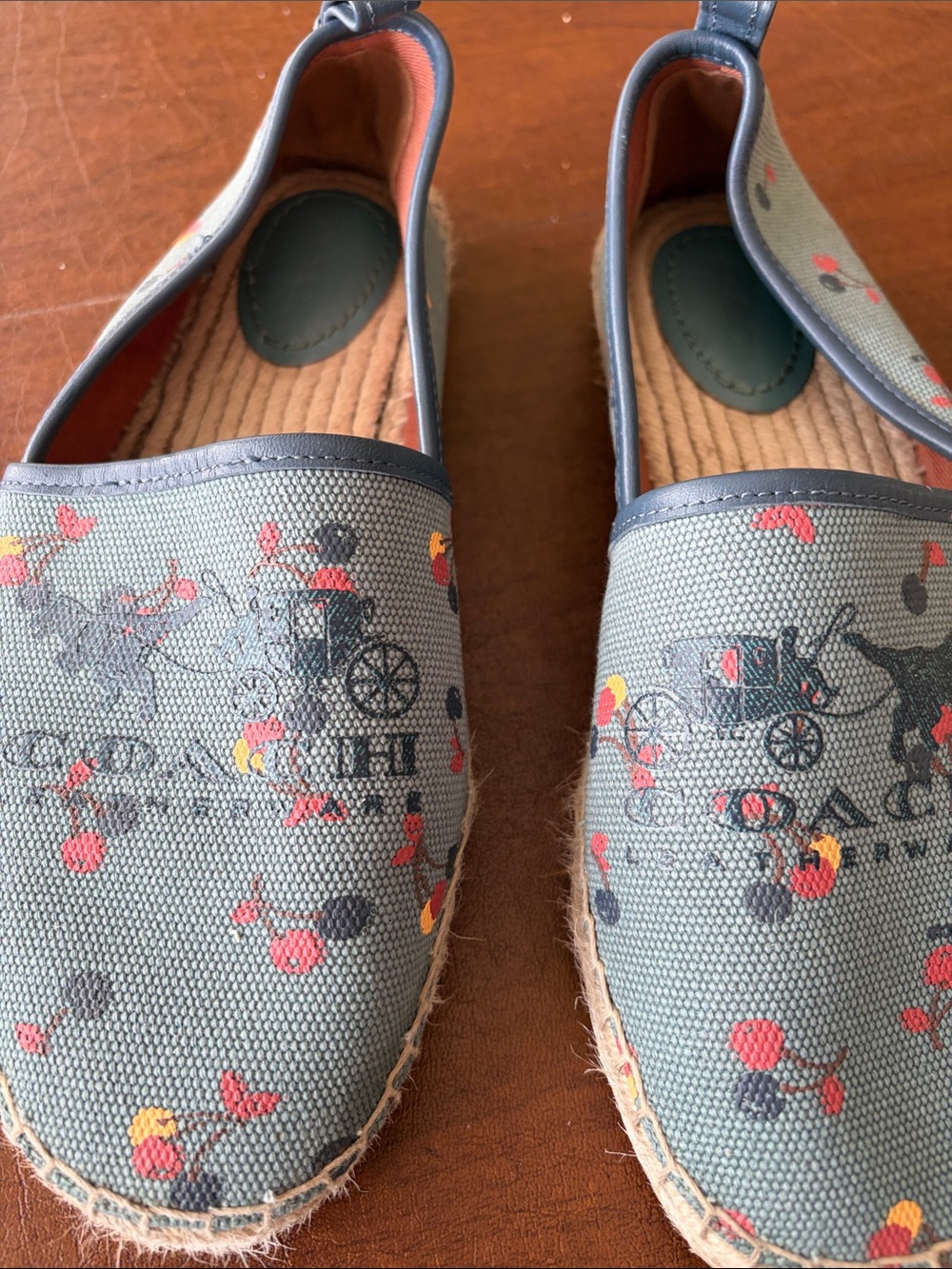 Coach Sage Blue Floral Canvas Espadrilles